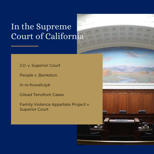 Graphic with case names of notable decisions explained below.