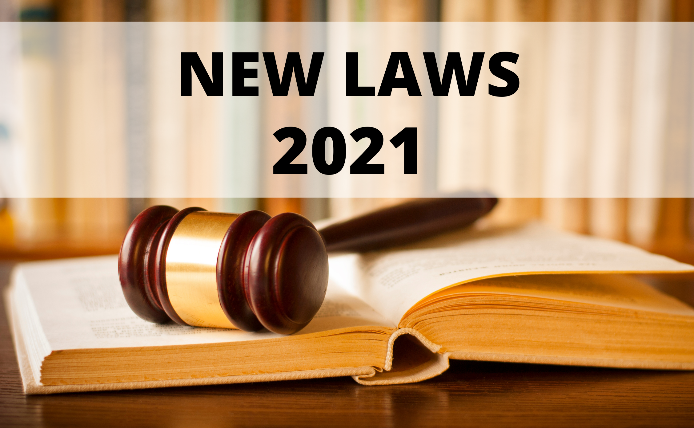 new laws 2021