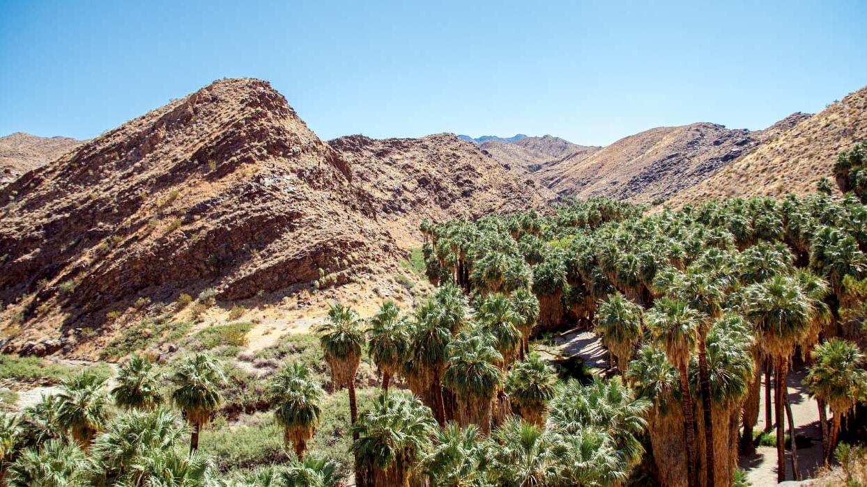 outside souther tiverside county blue sky desert