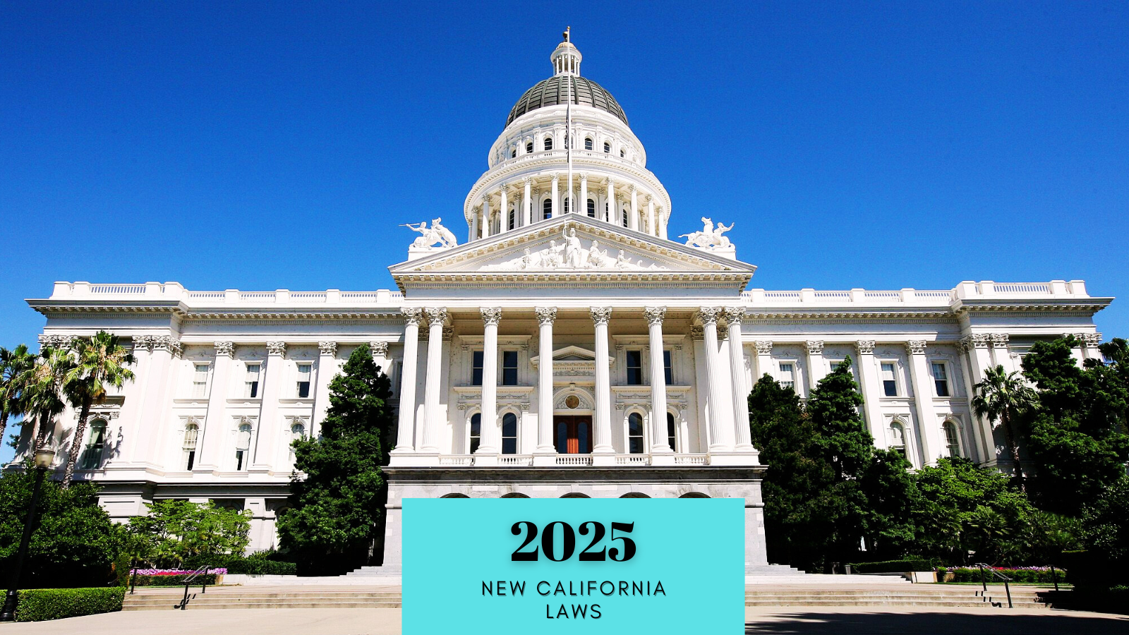 2025 New California Laws