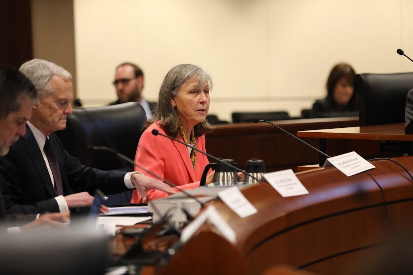 Two people presenting in a boardroom