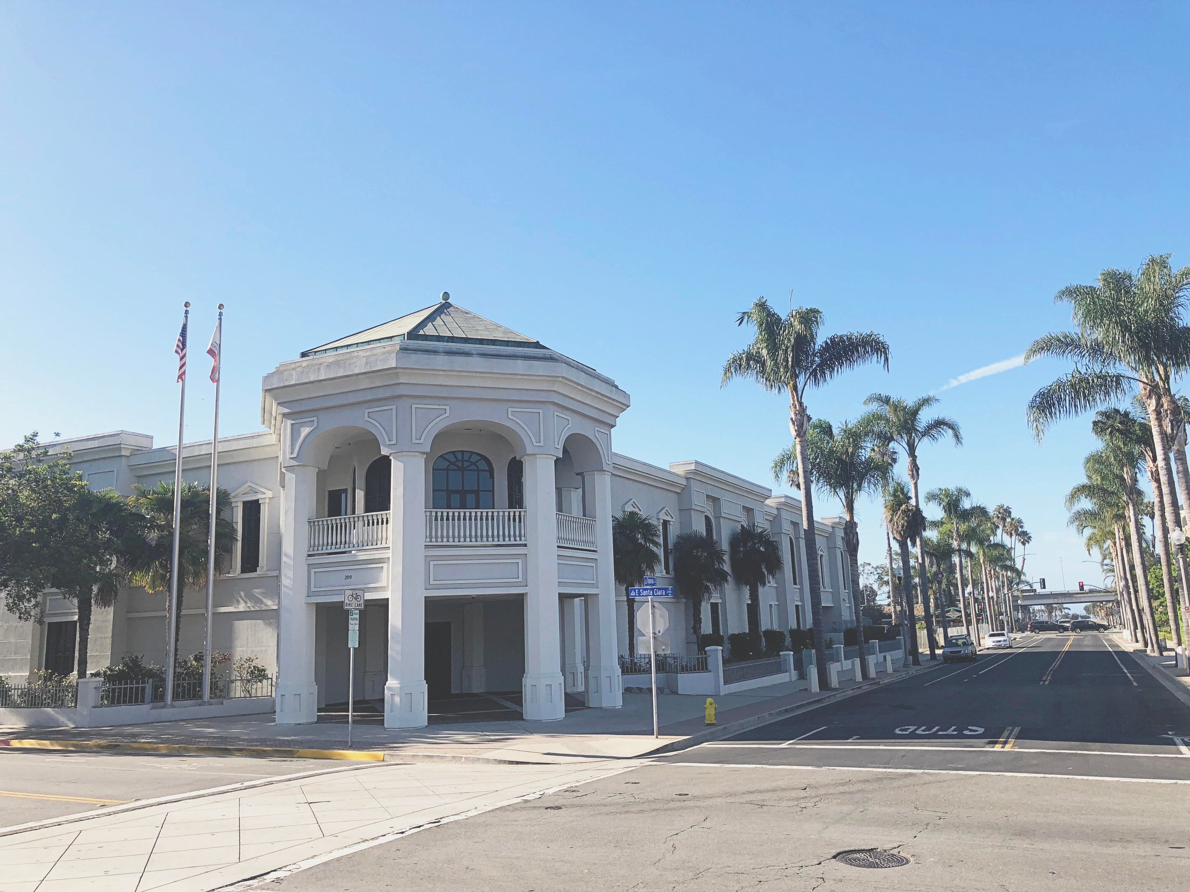 Grey building with columns on a round attached entrance. Palms trees line the road next to it.