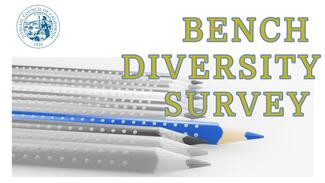 graphic of pencils black and white with one blue standing out text reads bench diversity survey