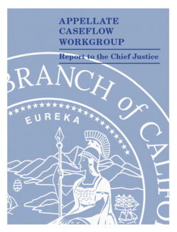 appellate workgroup report