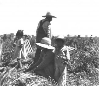 Imperial Valley Farmworkers in 1930s